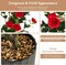 2pcs 38" Artificial Camellia Tree Flower Plant in Yellow Cement